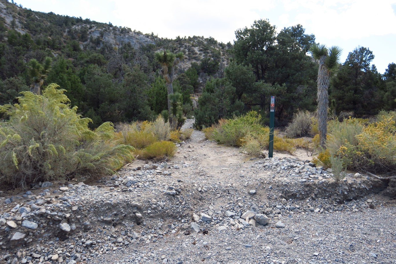 10-trail_continues_out_of_the_wash