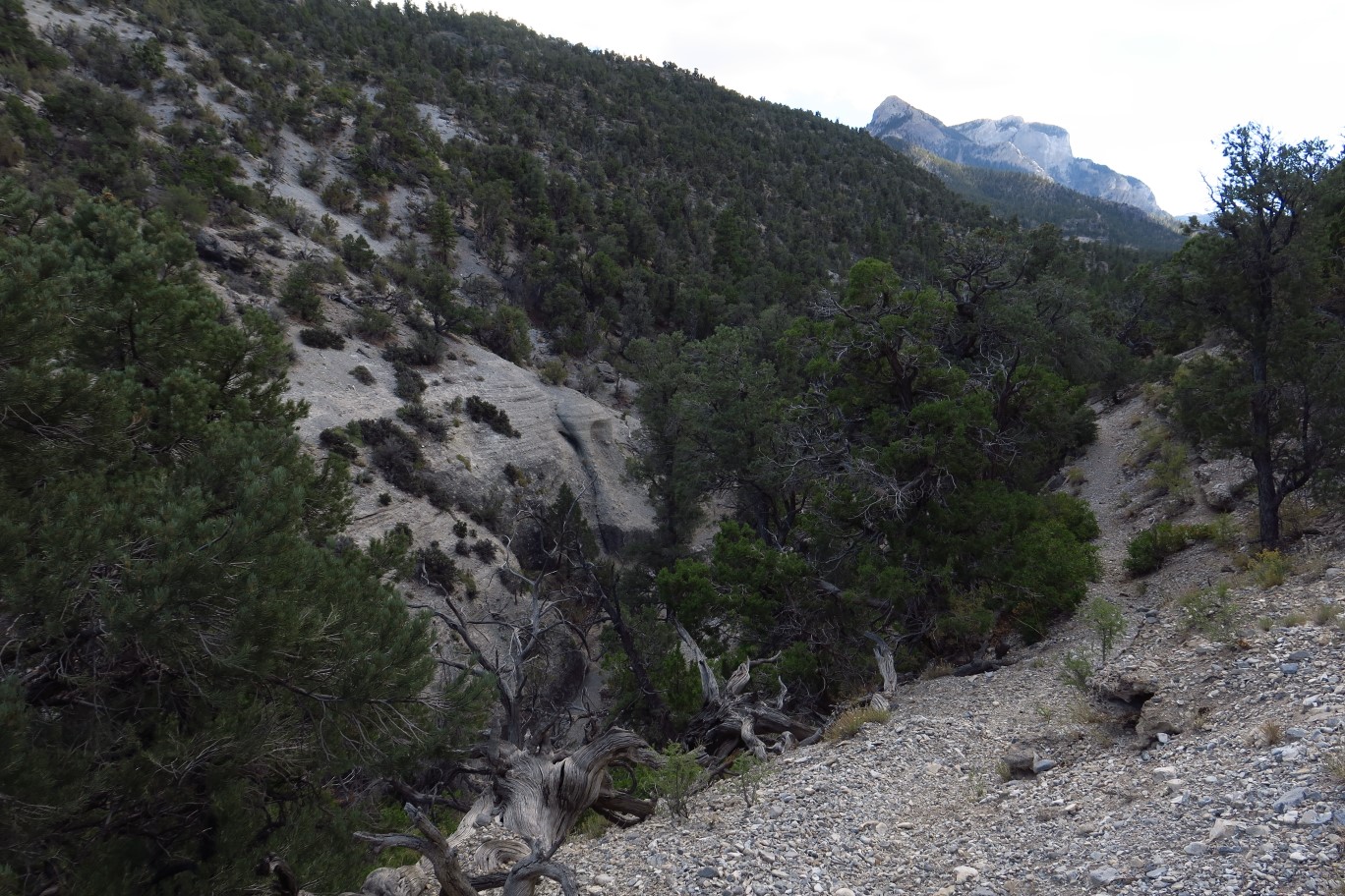57-trail_travels_above_a_canyon