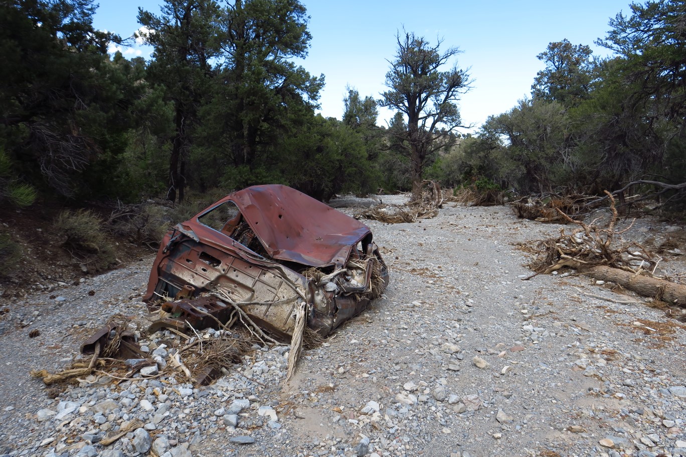 63-same_antique_car,looking_down_the_wash