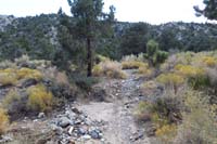 04-found_and_followed_old_trail