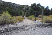 10-trail_continues_out_of_the_wash
