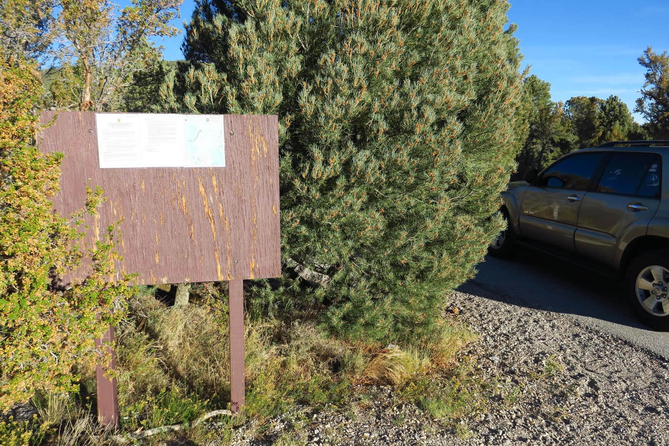 02-Sawmill_Trailhead_sign-new_posting