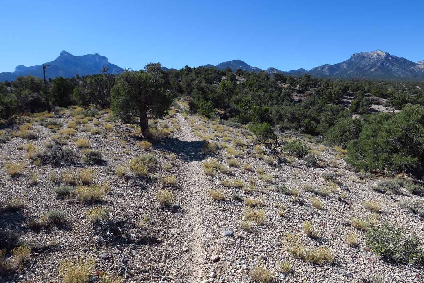 32-continuing_along_alternate_trail