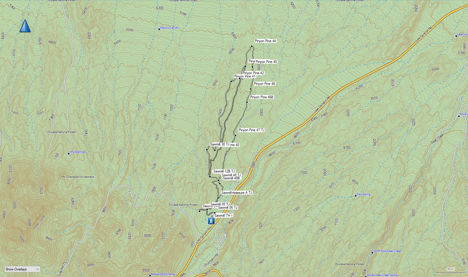 53-topo