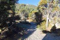 08-Sawmill_Trailhead