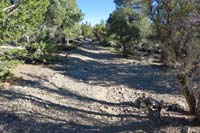 13-Sawmill_reassure_A_TJ-right_leads_to_dispersed_camping,heading_straight