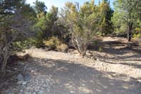 14-looking_back_to_Sawmill_reassure_A_TJ