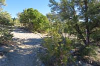 16-approaching_Sawmill_13_TJ-right_leads_to_Rocky_Gorge,straight_and_left_for_Pinyon_Pine