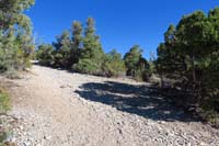 17-Sawmill_13_TJ-going_right_up_Pinyon_Pine,will_return_from_straight_eventually