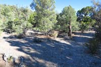 19-Pinyon_Pine_47_TJ-right_is_Rocky_Gorge,going_left