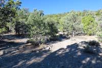 20-Pinyon_Pine_47_TJ-heading_that_way_to_continue_on_Pinyon_Pine_Trail