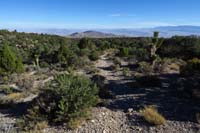 21-scenic_views_of_area_and_distant_desert_peaks