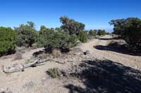 23-Pinyon_Pine_46B-heading_up_No_Mads_Trail_dirt_road_to_continue