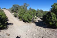 24-Pinyon_Pine_46-turning_right_continuing_along_trail
