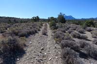 27-good_part_of_the_trail_is_an_old_dirt_road