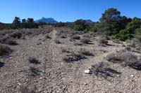 28-Pinyon_Pine_43-heading_up_alternate_ahead,then_return_for_trail_to_right