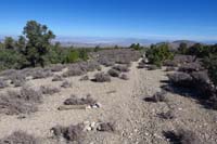 29-looking_back_to_Pinyon_Pine_43