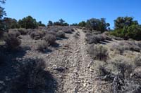 31-alternate_trail_is_probably_most_traveled,annoying_since_rocky_and_uphill,very_nice_northbound