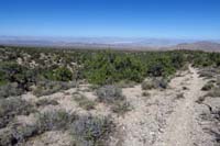 37-scenic_views_along_trail_and_distant_desert_mountains