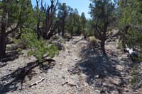 39-parts_of_the_trail_are_worn,some_evidence_of_recent_erosion-alternate_trail_is_better_and_more_used