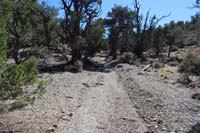 41-parts_of_the_trail_is_a_wash