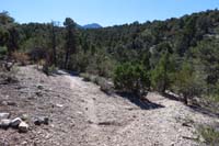 42-Sawmill_30_TJ-right_is_Mud_Springs_Trail,heading_left_further_down_Pinyon_Pine_Trail