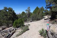 43-looking_back_to_Sawmill_30_TJ-left_is_Mud_Springs_Trail,came_from_right_along_Pinyon_Pine_Trail