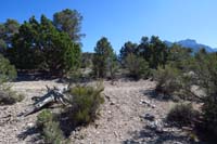 44-Sawmill_12_TJ-connects_to_Sawmill_large_loop-heading_left_to_complete_my_loop