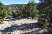 45-Sawmill_13_TJ-continuing_just_a_little_ahead,then_right