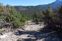 46-steep_old_loose_dirt_road_south_of_Sawmill_48_TJ