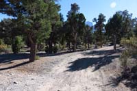 49-follow_dirt_road_to_connect_to_Sawmill-reassure A