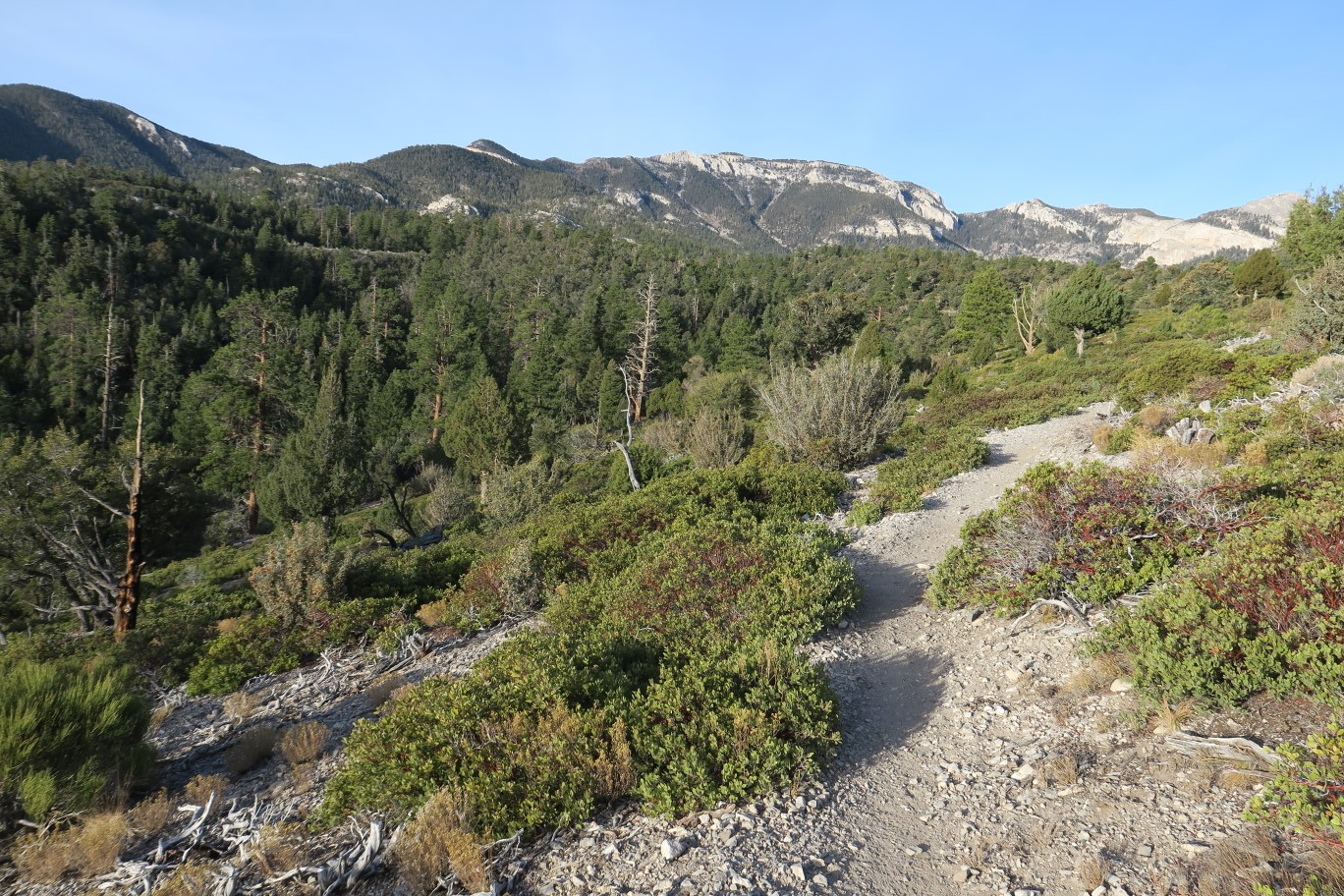 04-scenic_view_along_the_trail-Mummy_Mountain