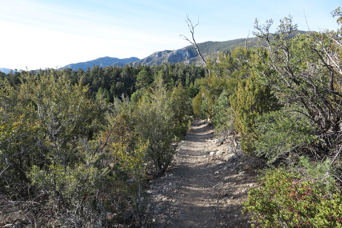 05-scenic_view_along_the_trail