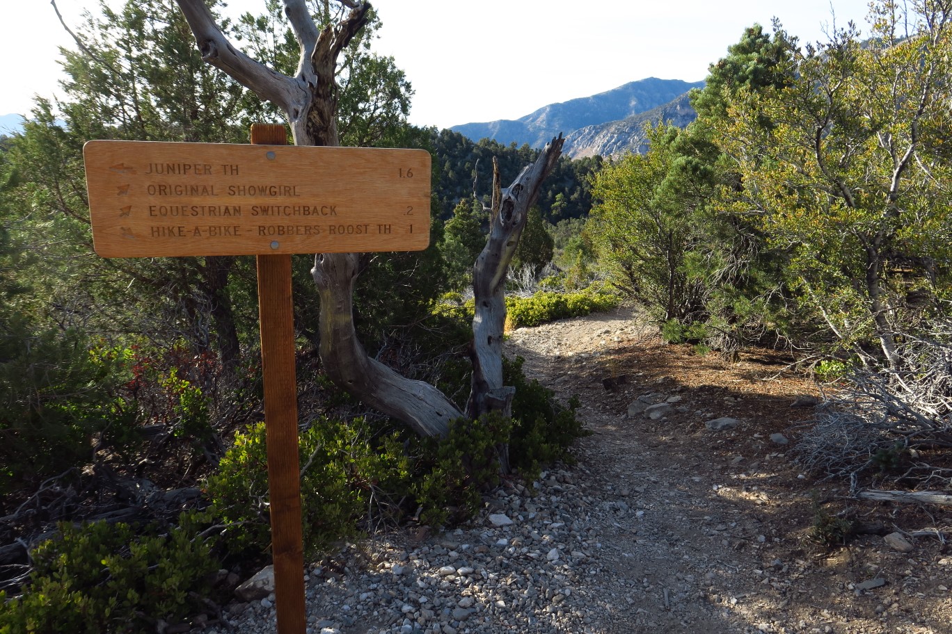 07-HikeaBikeShowgirl_TJ-continuing_down_Upper_Showgirl