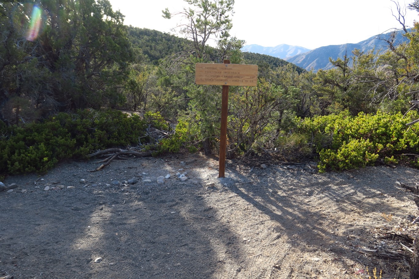 10-ShowgirlEquestrianSwitchback_TJ-came_from_left,heading_right