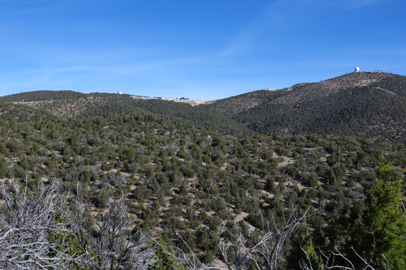 14-scenic_view_of_Youth_Camp_and_Angels_Peak
