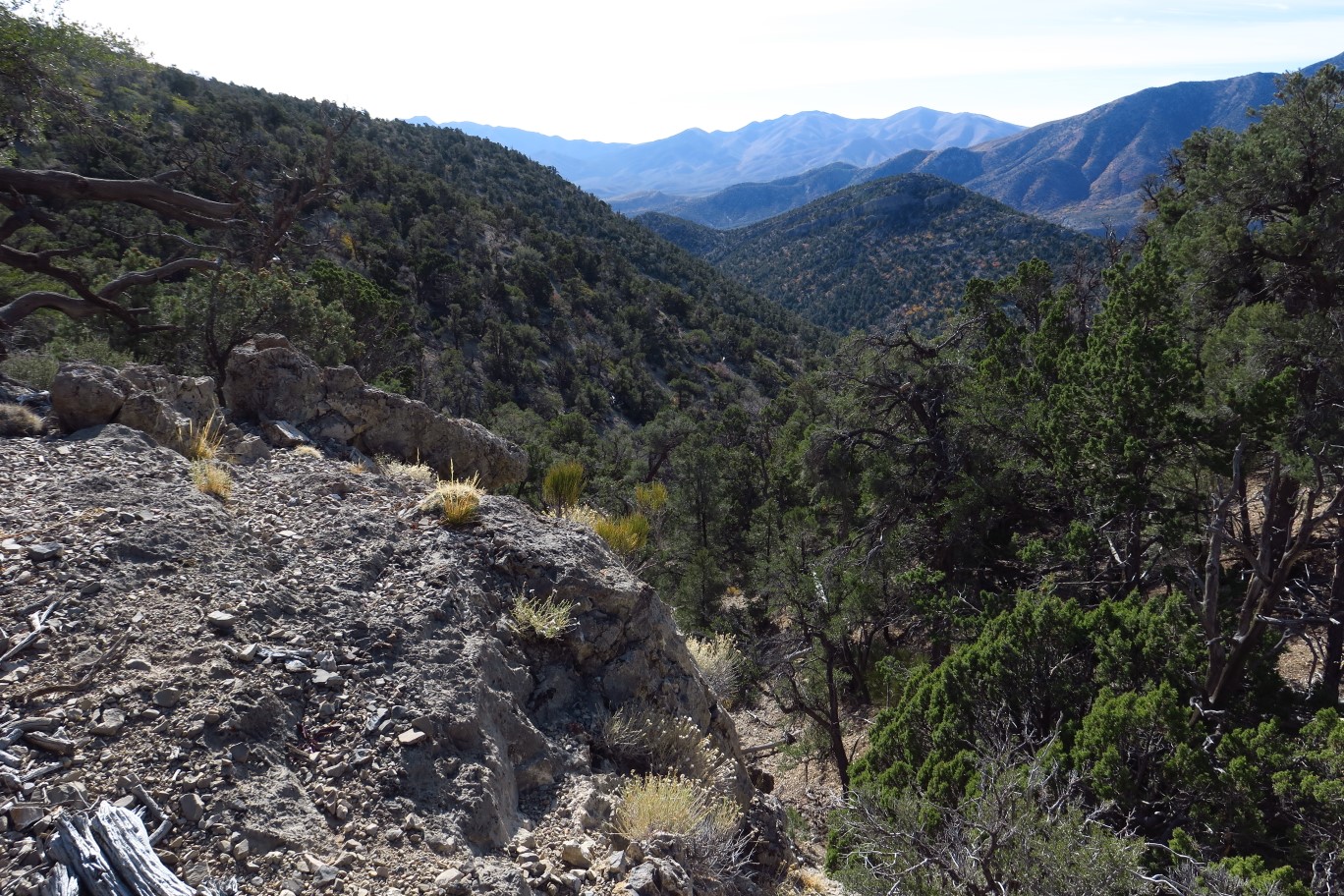 20-scenic_view_along_the_trail