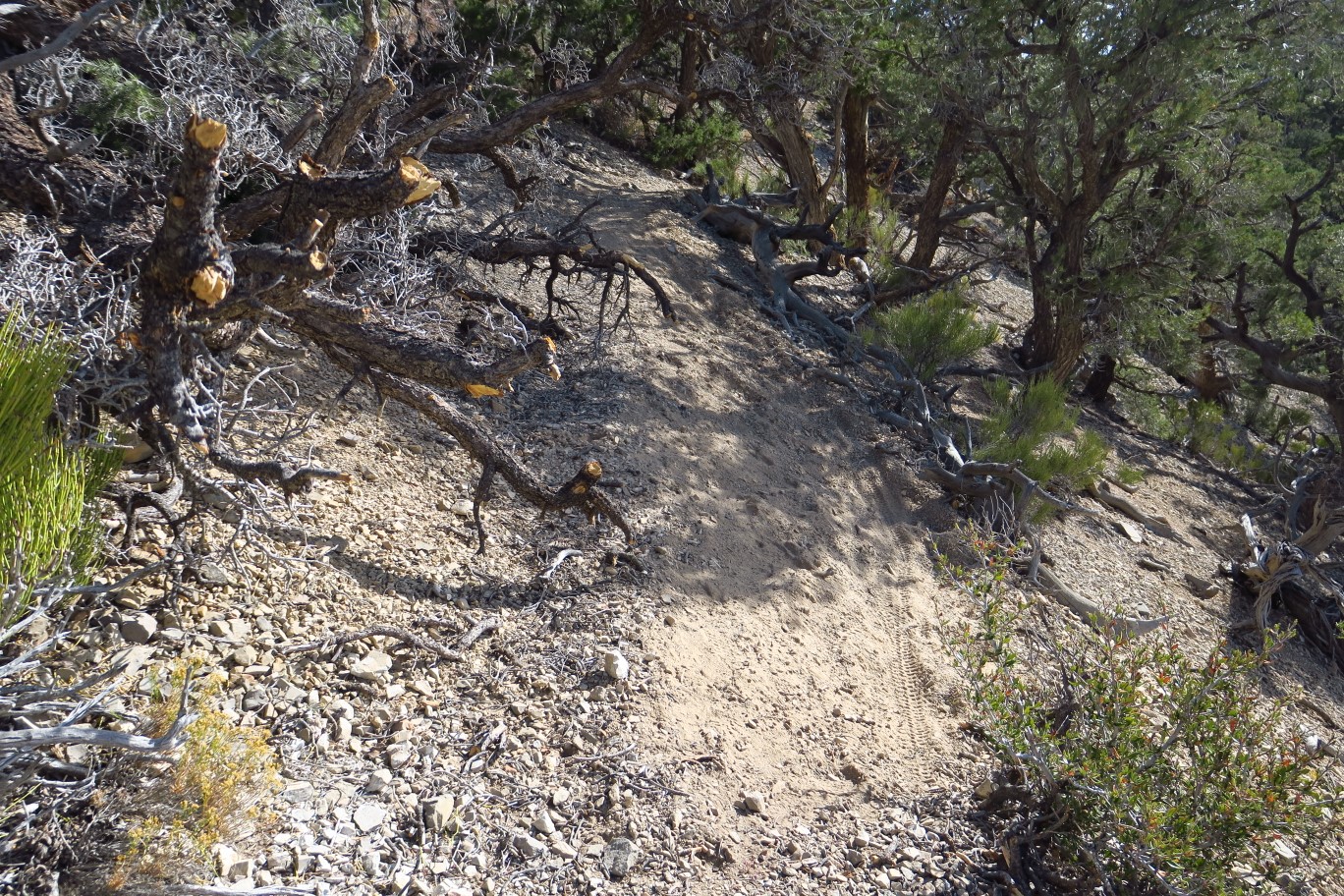 22-trail_changes_getting_steep_and_loose