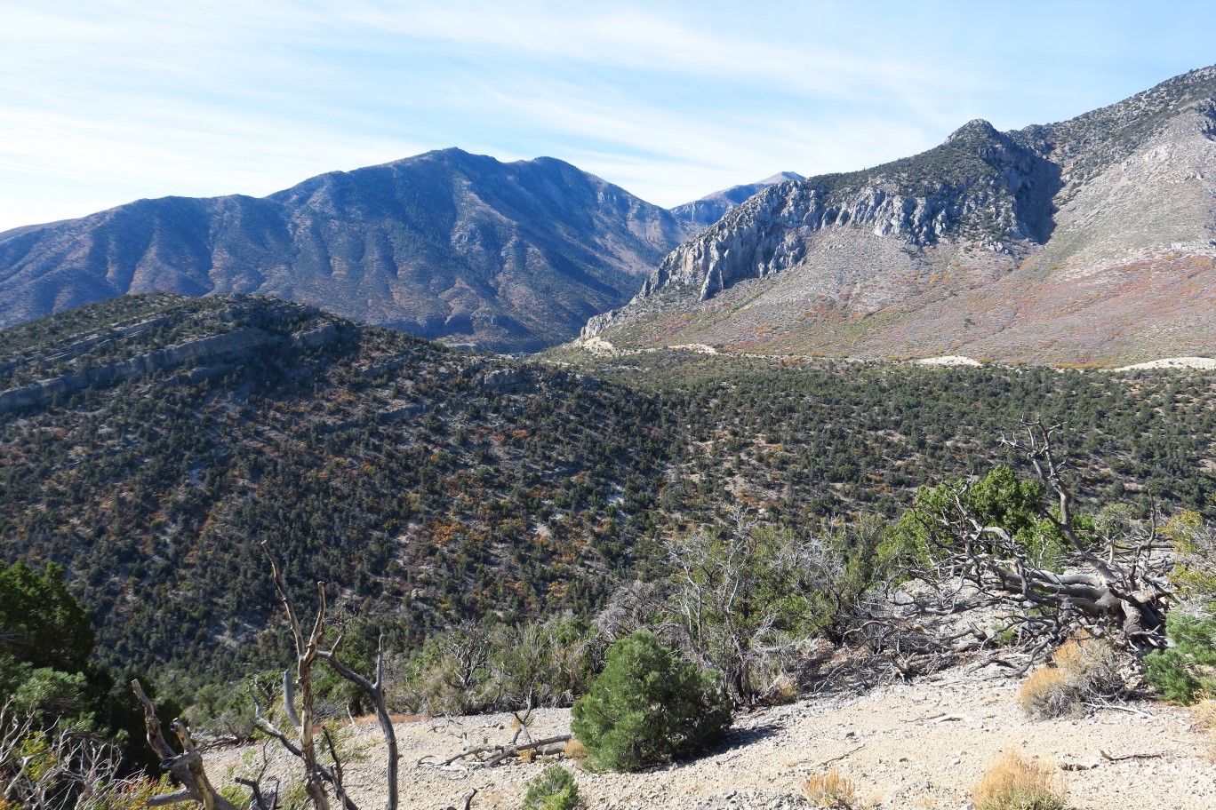 23-scenic_view_along_the_trail
