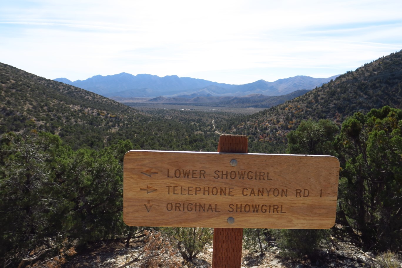 29-ShowgrlU-L_TJ-new_sign