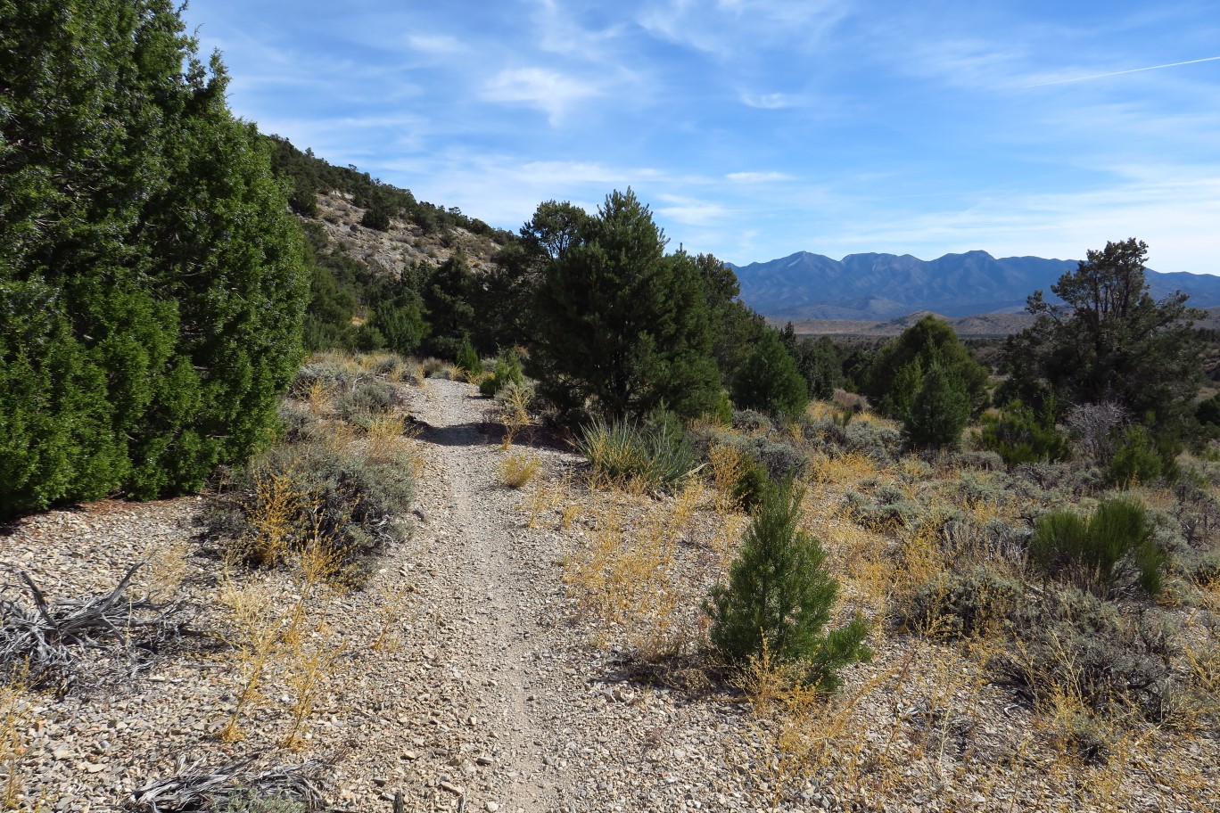 48-scenery_along_the_trail