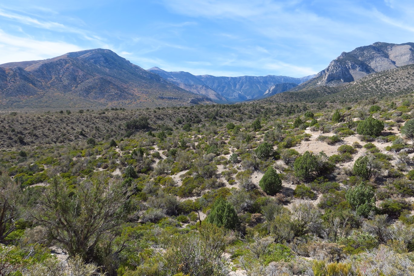 50-scenic_view_along_the_trail