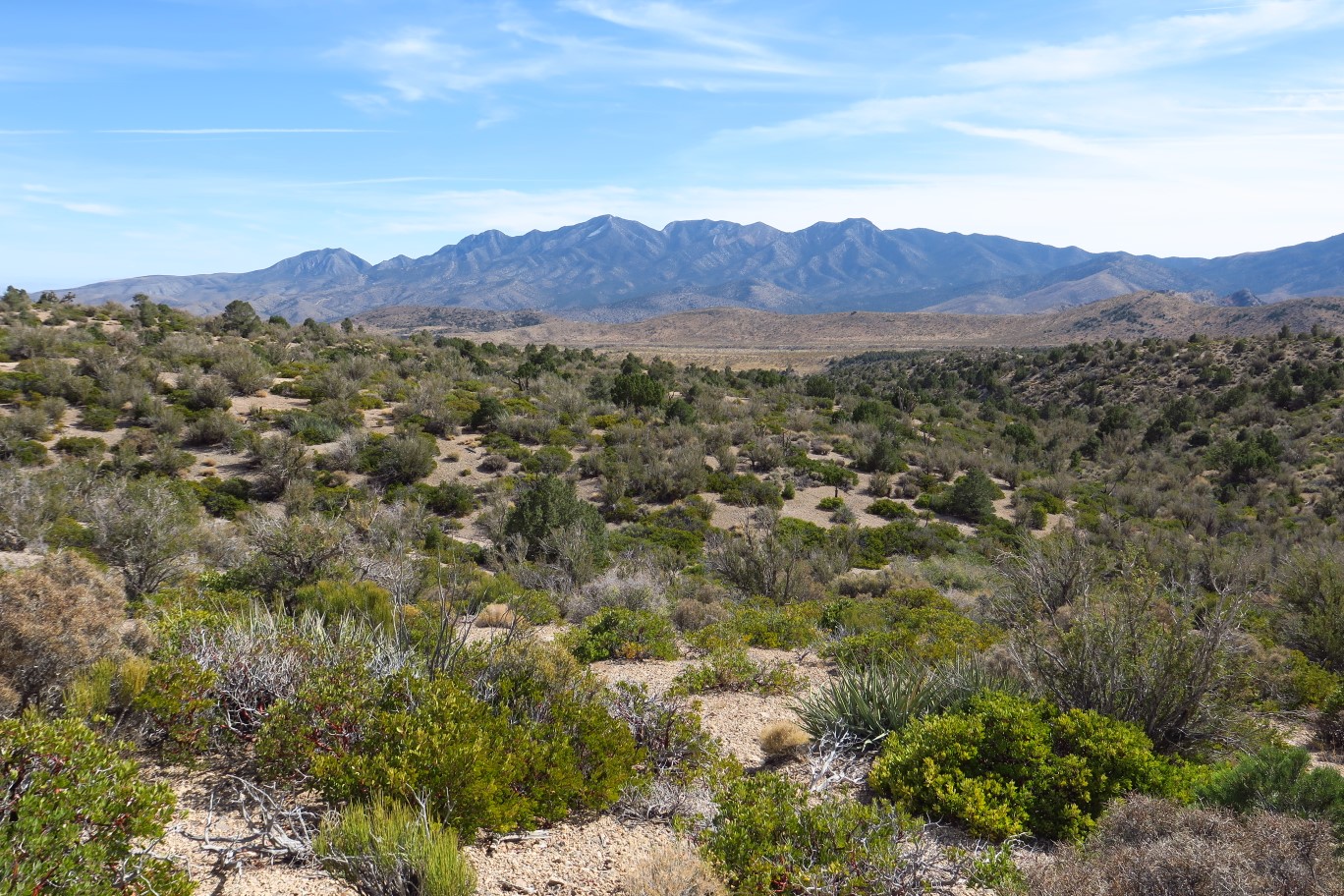 53-scenic_view_of_La_Madre_Mountain_from_trail