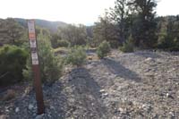 03-new_trail_sign_further_down_the_trail