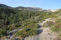 04-scenic_view_along_the_trail-Mummy_Mountain