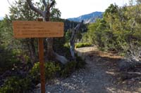 07-HikeaBikeShowgirl_TJ-continuing_down_Upper_Showgirl