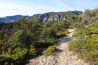 08-scenic_view_along_the_trail