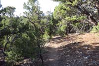 09-nice_canopy_cover_along_trail