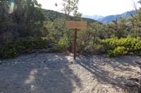 10-ShowgirlEquestrianSwitchback_TJ-came_from_left,heading_right