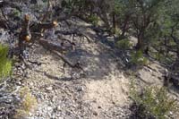 22-trail_changes_getting_steep_and_loose